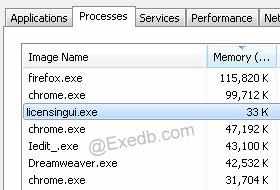 LicensingUI.exe UI การให้สิทธิการใช้งาน