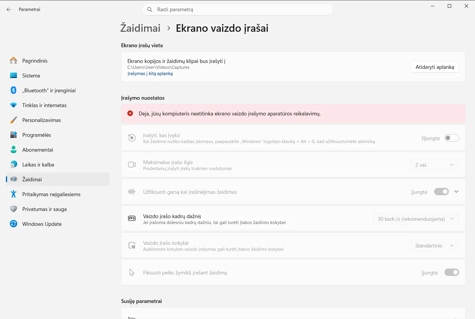 Ekrano vaizdo įrašai
